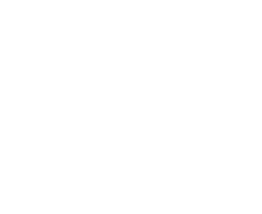/images/Governance.png